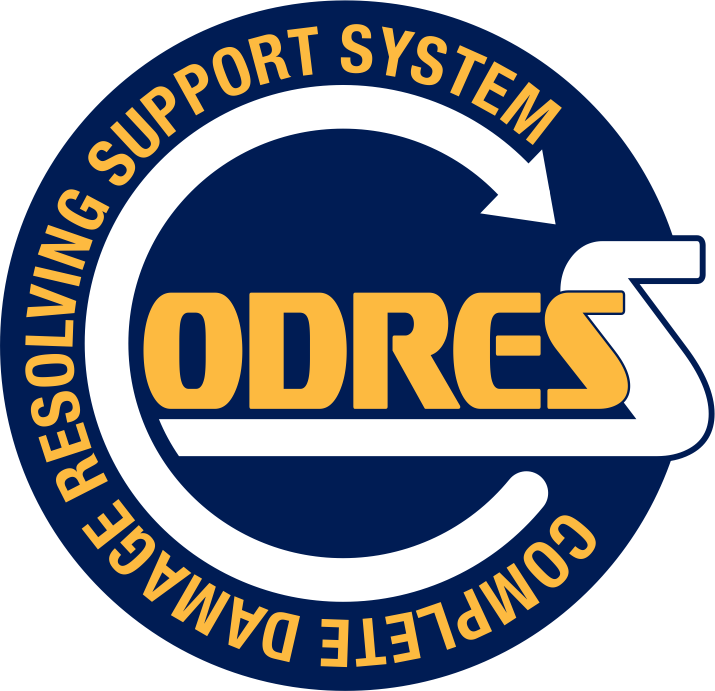 Codress logo