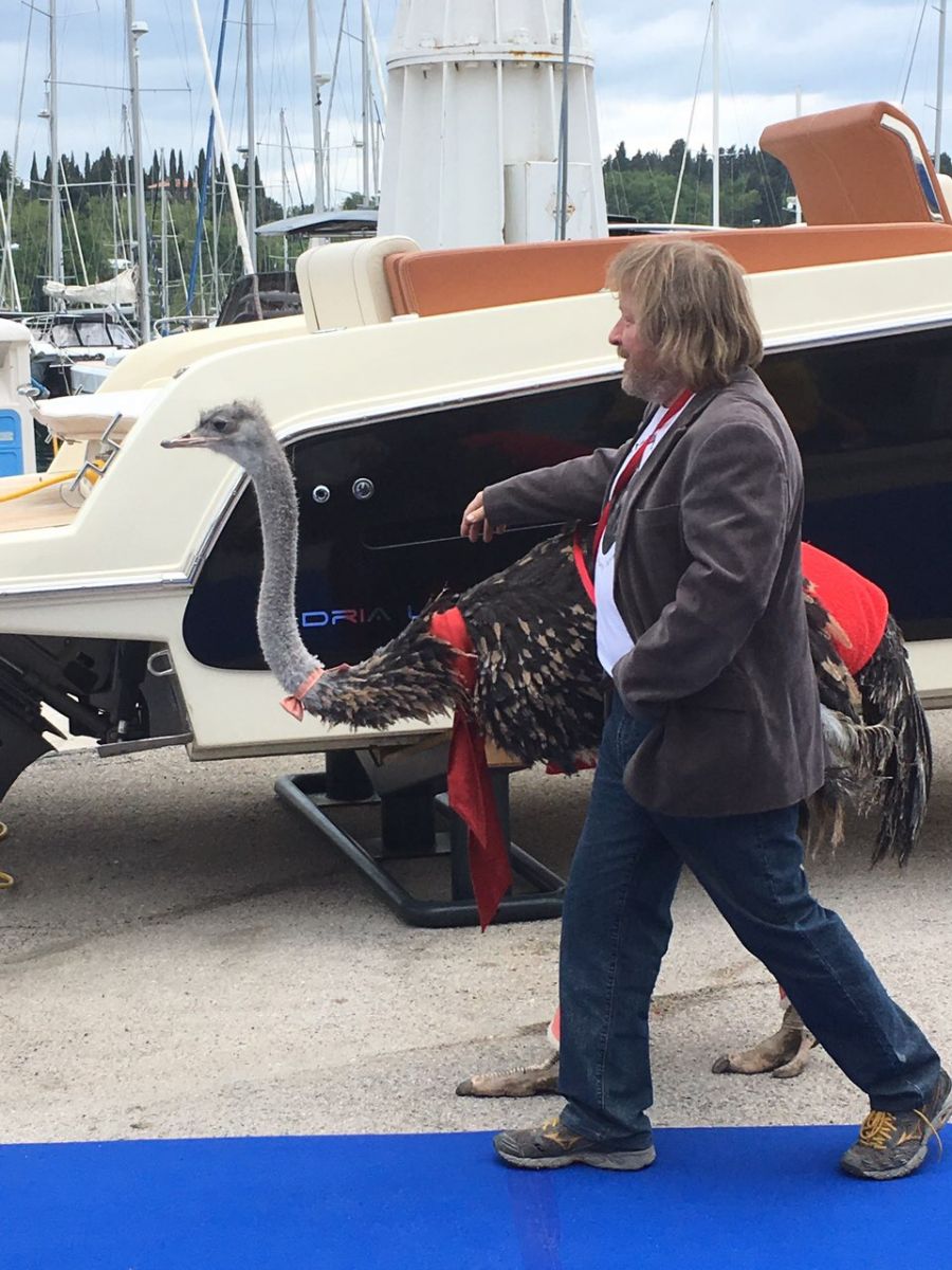 boat show, Portorož 2019